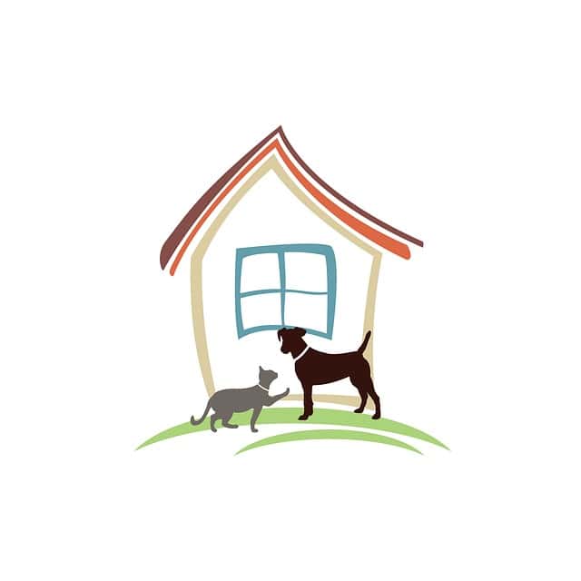 Animais