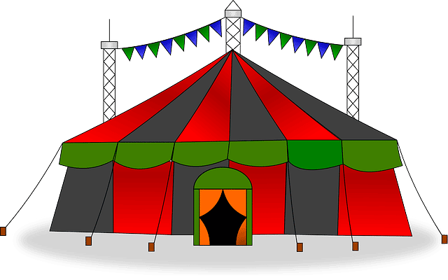 Circo